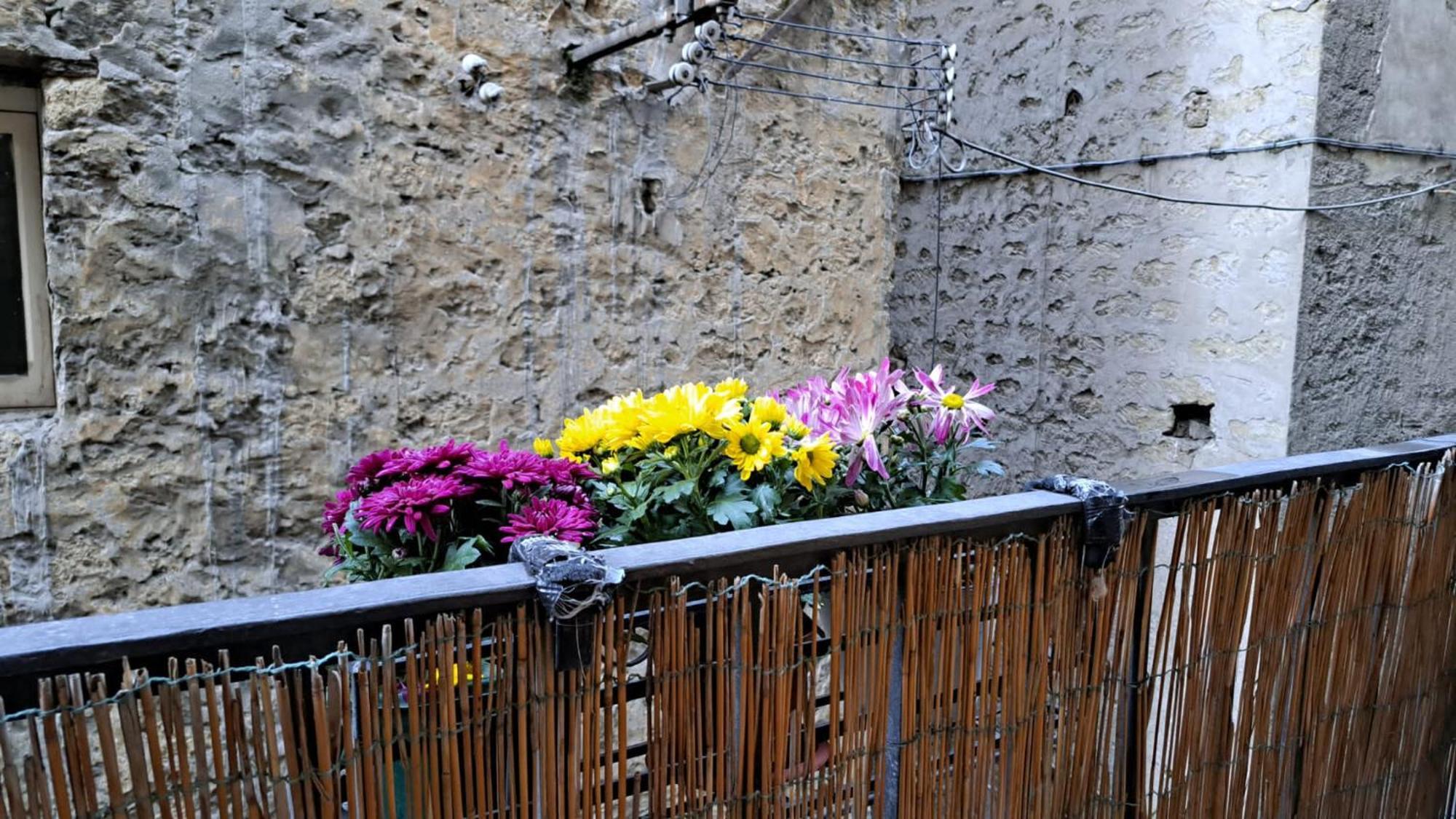 Appartamento Casa Pesadina *